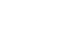 RioSur